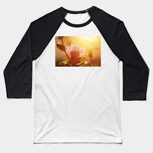 Winter meadow at sunrise Baseball T-Shirt